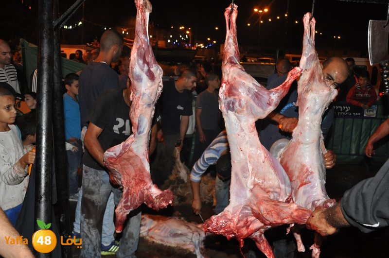 3eed ludj j31 (47).JPG